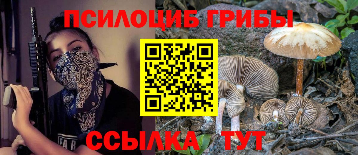 Псилоцибиновые грибы прущие грибы  Вход с VPN  Кисловодск  Галлюциногенные грибы Magic Shrooms 