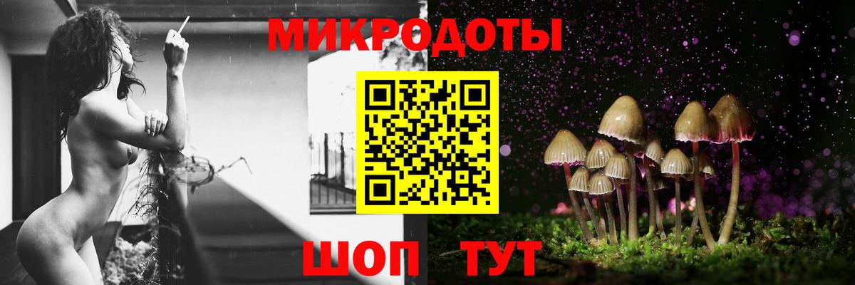 Галлюциногенные грибы Cubensis Кисловодск
